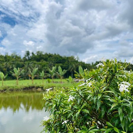 Jazz Ferme Inn Batuan Bohol ภายนอก รูปภาพ