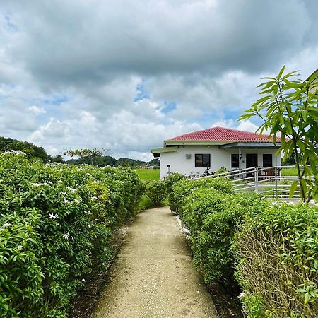 Jazz Ferme Inn Batuan Bohol ภายนอก รูปภาพ