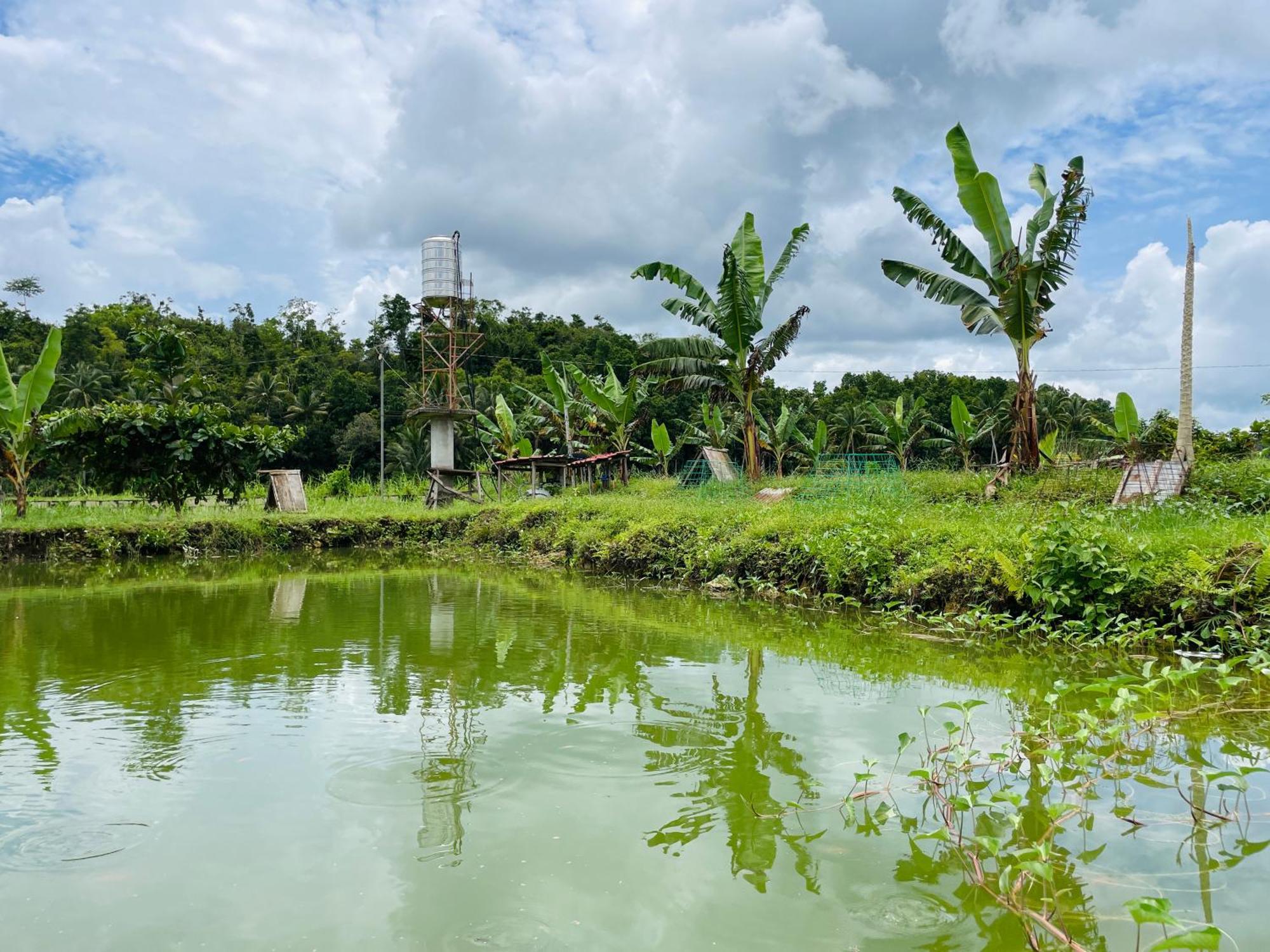 Jazz Ferme Inn Batuan Bohol ภายนอก รูปภาพ