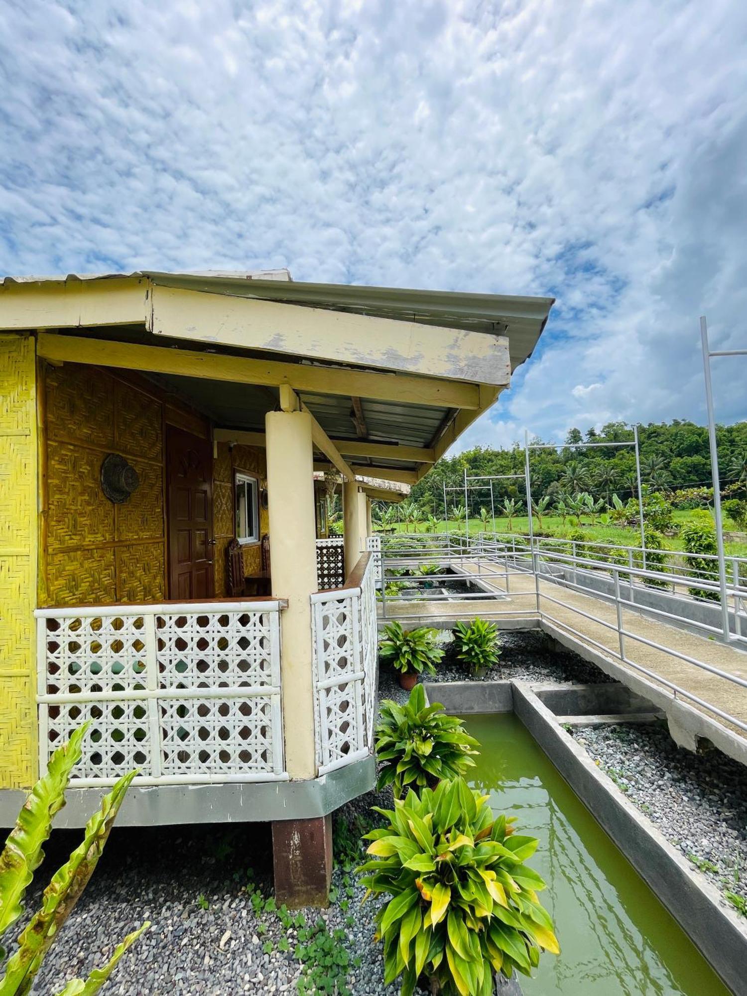 Jazz Ferme Inn Batuan Bohol ภายนอก รูปภาพ