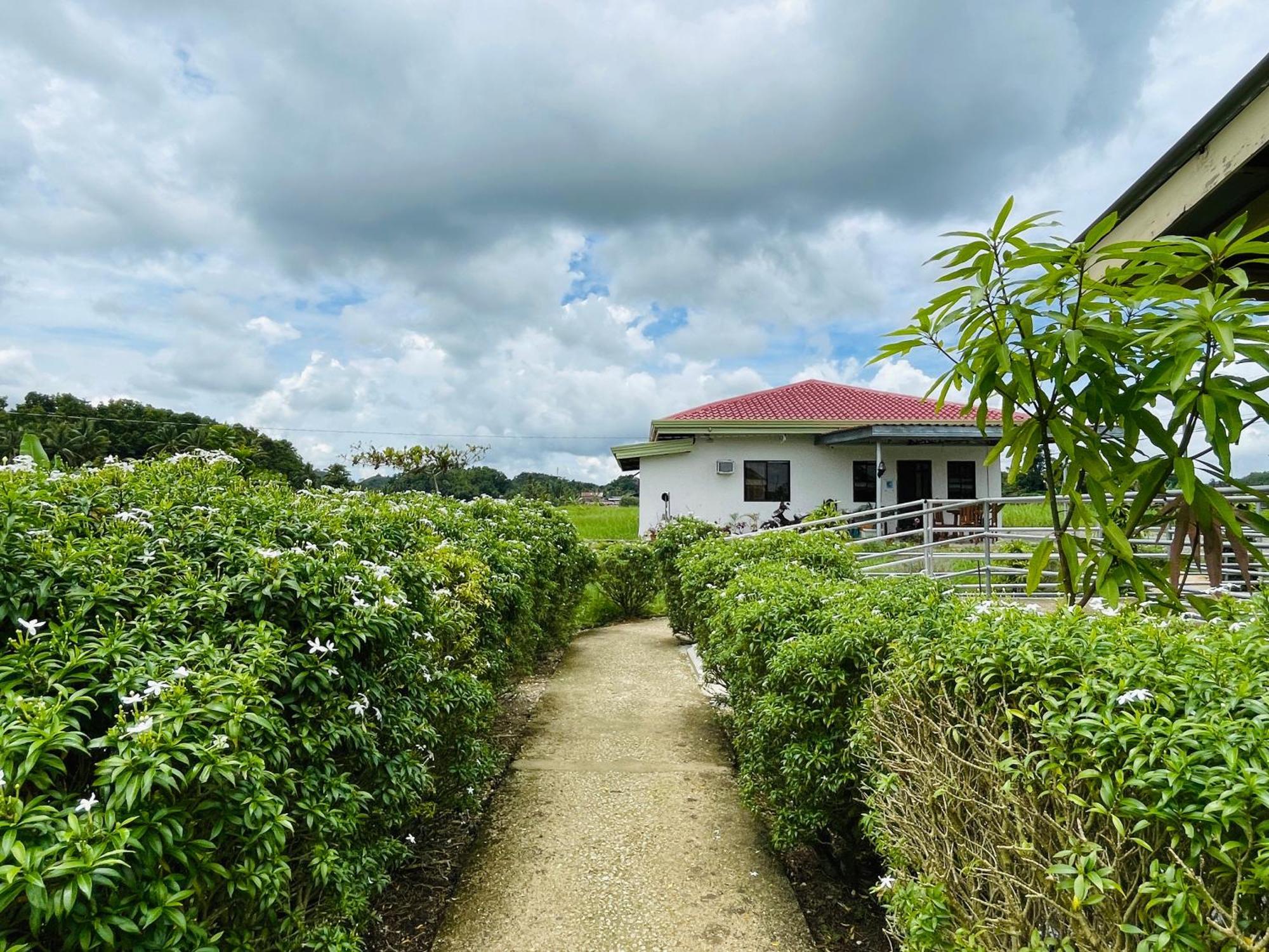 Jazz Ferme Inn Batuan Bohol ภายนอก รูปภาพ