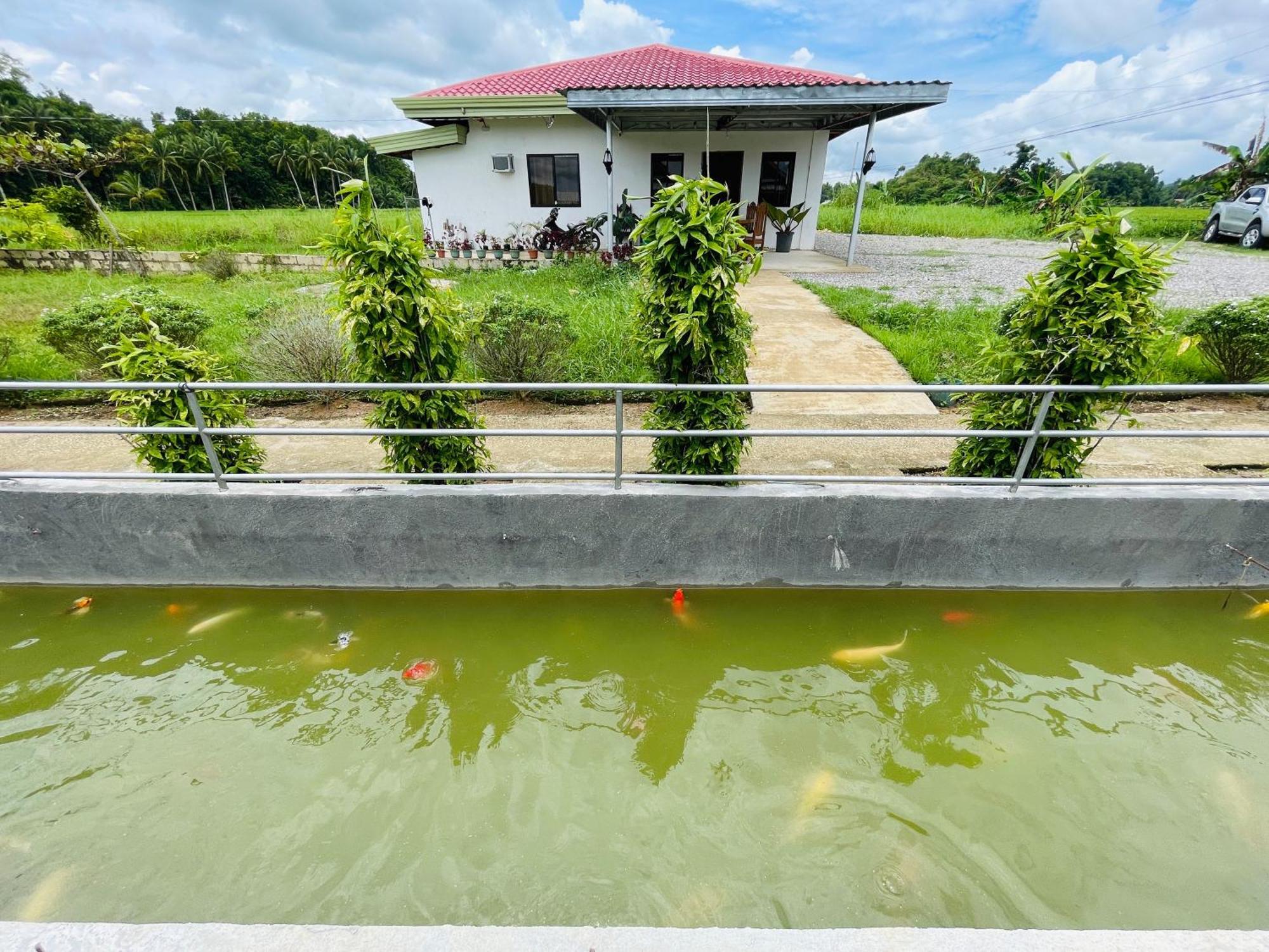 Jazz Ferme Inn Batuan Bohol ภายนอก รูปภาพ
